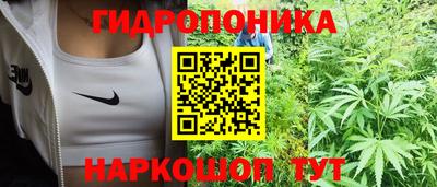спиды Можга