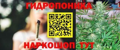 кокс Можайск