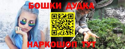 спиды Можга
